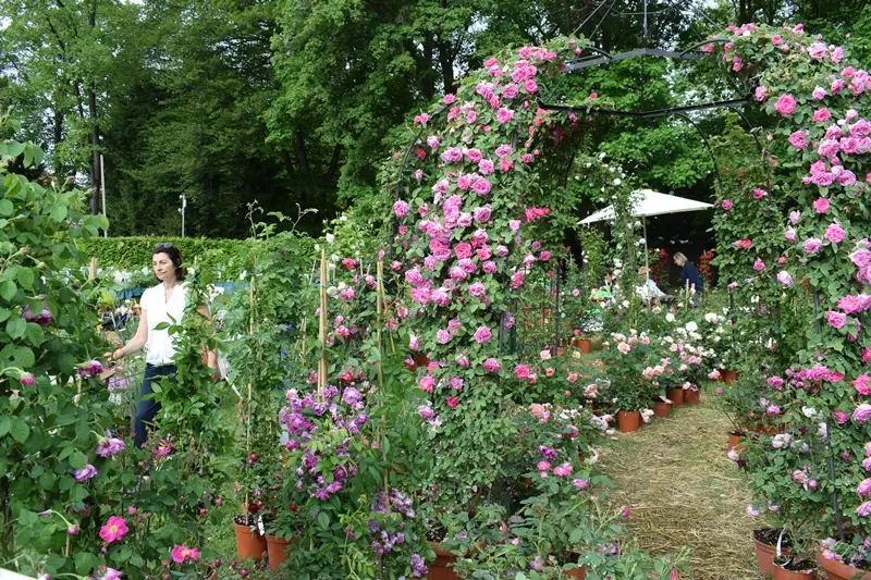 «Tre giorni per il giardino» a Masino