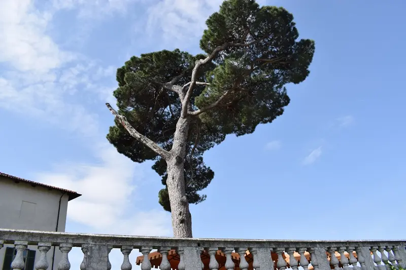 «Tre giorni per il giardino» a Masino