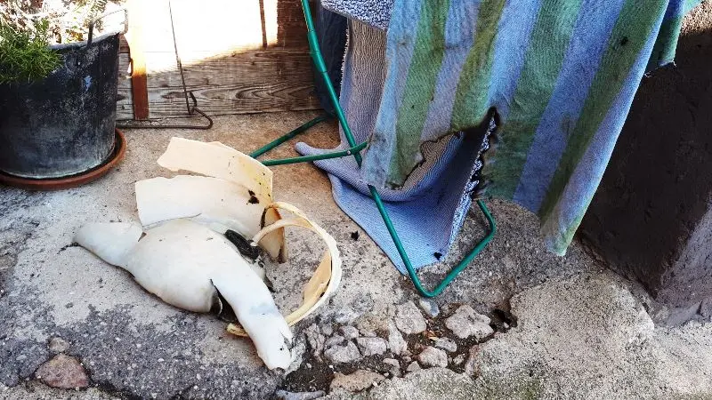 I resti del macinino dopo l'esplosione della polvere da sparo