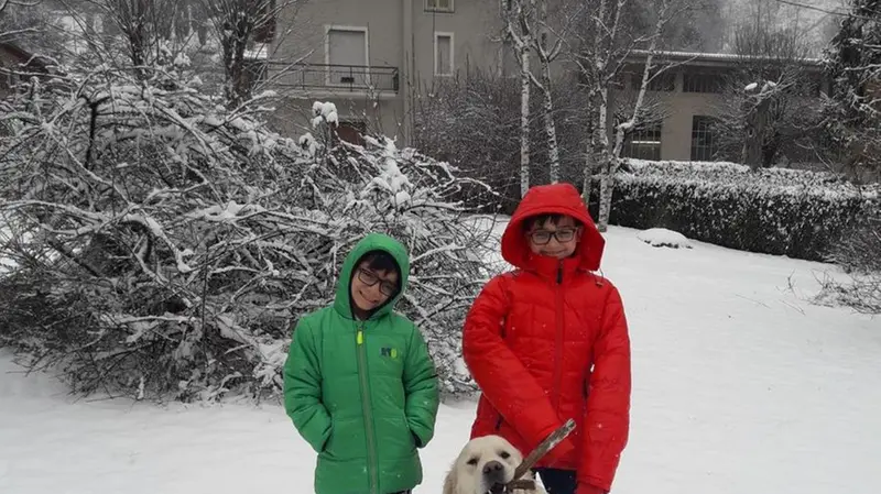 Nevica: altre foto dei lettori