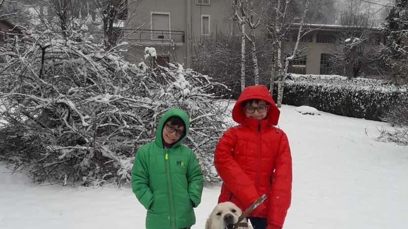 Nevica: altre foto dei lettori