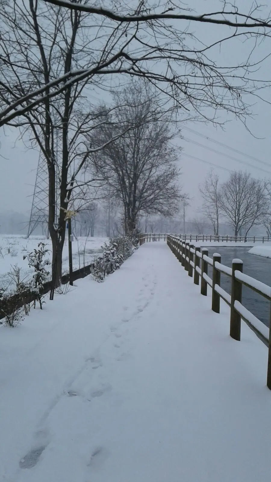 Nevica: altre foto dei lettori