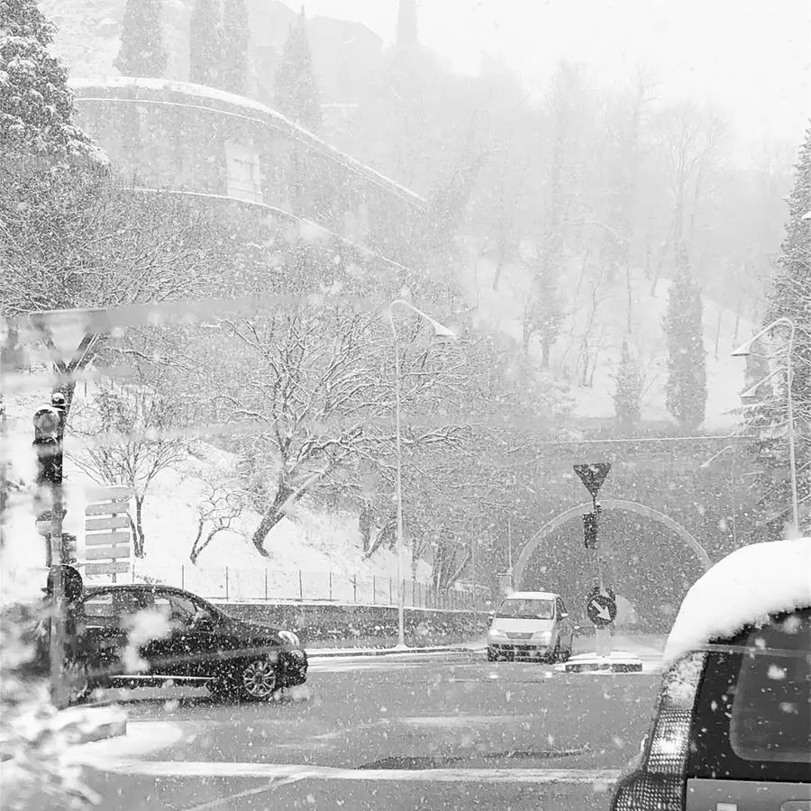 Nevica: altre foto dei lettori