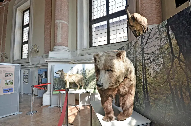 L'allestimento a Palazzo Loggia
