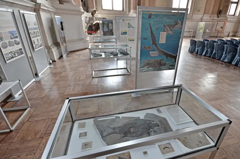 L'allestimento a Palazzo Loggia