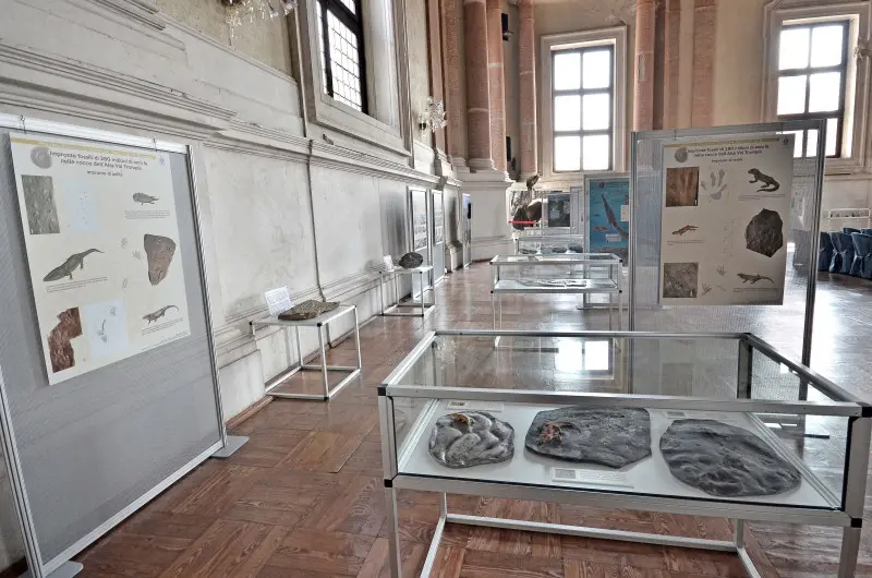 L'allestimento a Palazzo Loggia