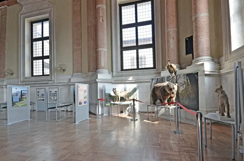 L'allestimento a Palazzo Loggia