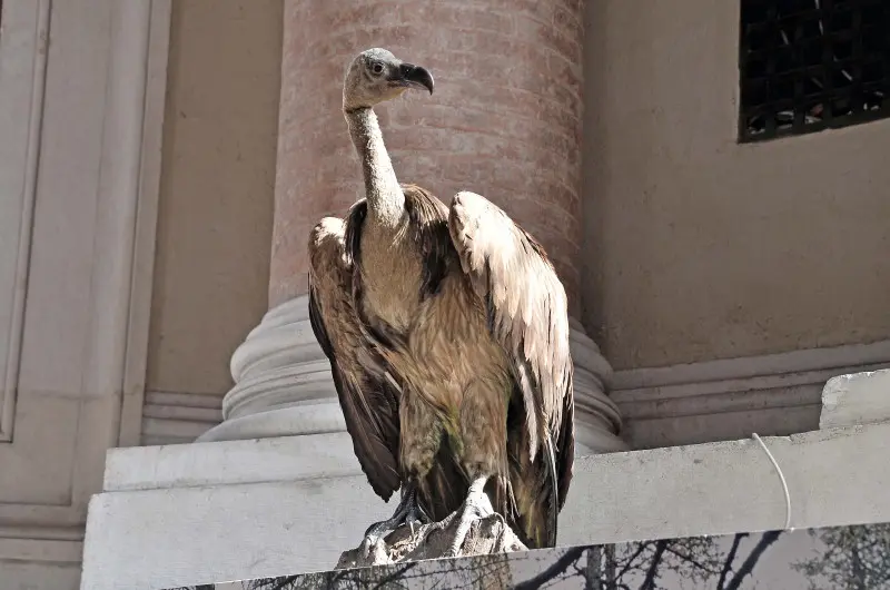 L'allestimento a Palazzo Loggia