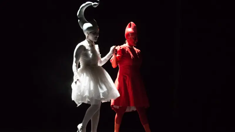 Coreografie in fotogallery