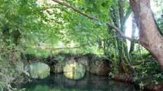 Il parco fluviale. L’habitat naturale è stato riconosciuto il 16 aprile 1988
