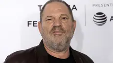 Harvey Weinstein