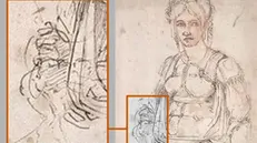 Scoperto autoritratto di Michelangelo in un disegno  Foto Ansa  © www.giornaledibrescia.it