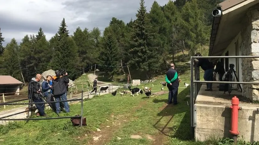 A Paspardo. Malga Zumella durante le riprese per il programma Mela Verde