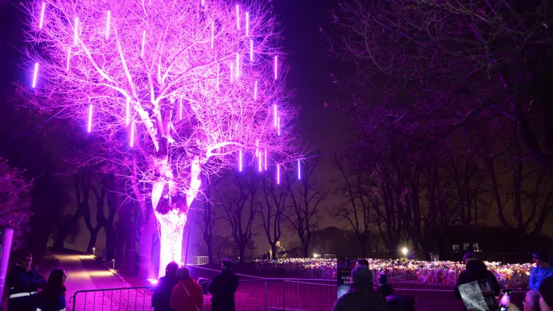 Spettacolo in castello: inizia CidneOn