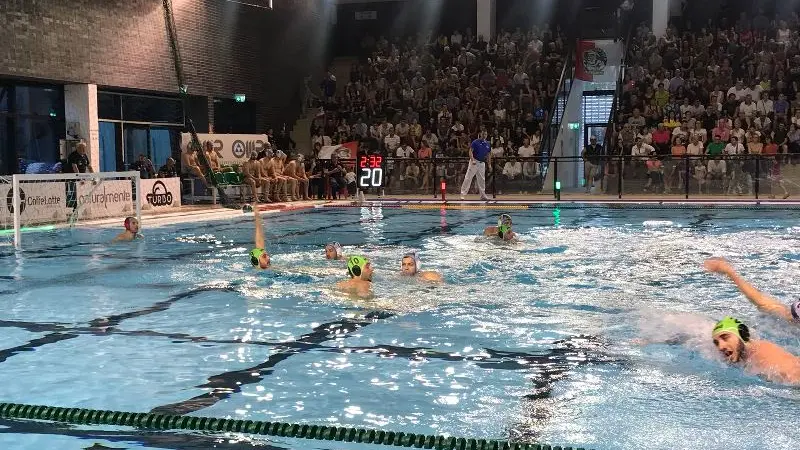 An Pallanuoto-Sport Management 8-6