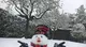 Neve, neve e ancora neve da città e provincia