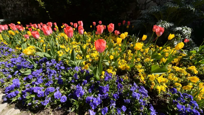In Castello sboccia la primavera