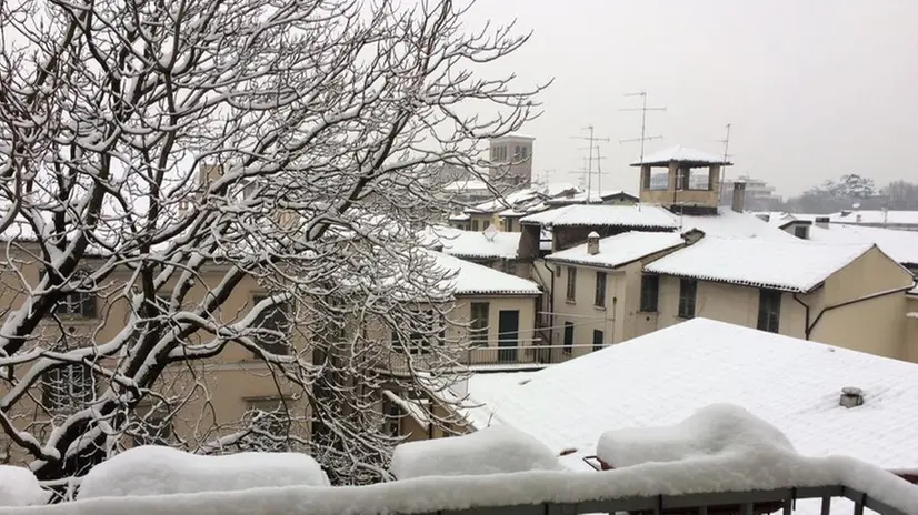 Neve in città