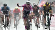 Giro d'Italia, Viviani re della pioggia batte tutti in volata a Iseo