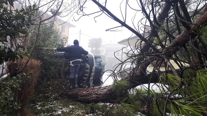 L'auto ribaltata nel giardino di Soprazzocco e il pino abbattuto