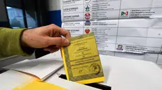 Elettore al voto - © Foto Marco Ortogni/Neg © www.giornaledibrescia.it