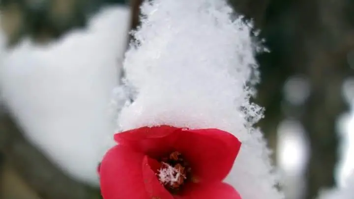 Neve e ghiaccio: le foto dei lettori