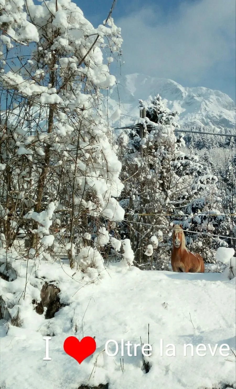 Neve e ghiaccio: le foto dei lettori