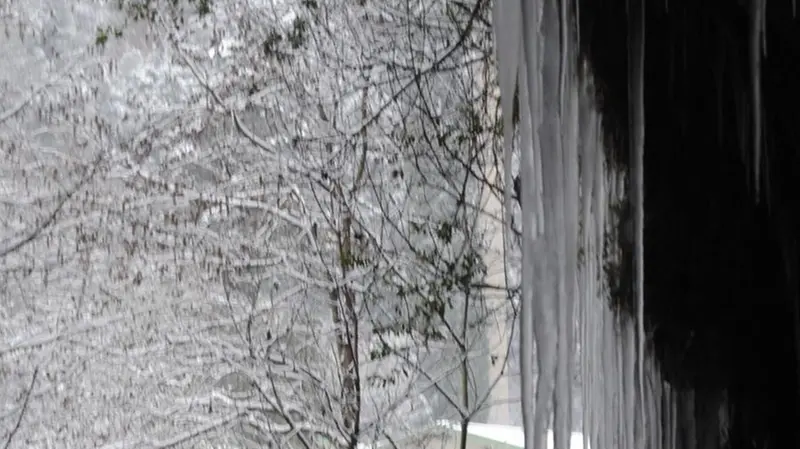 Nevica nel Bresciano: altre foto dei lettori