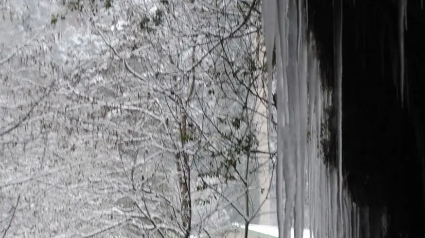 Nevica nel Bresciano: altre foto dei lettori