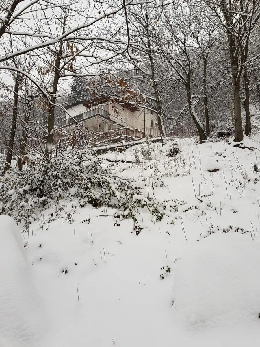 Nevica nel Bresciano: altre foto dei lettori