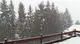Abbondante nevicata a Ponte di Legno