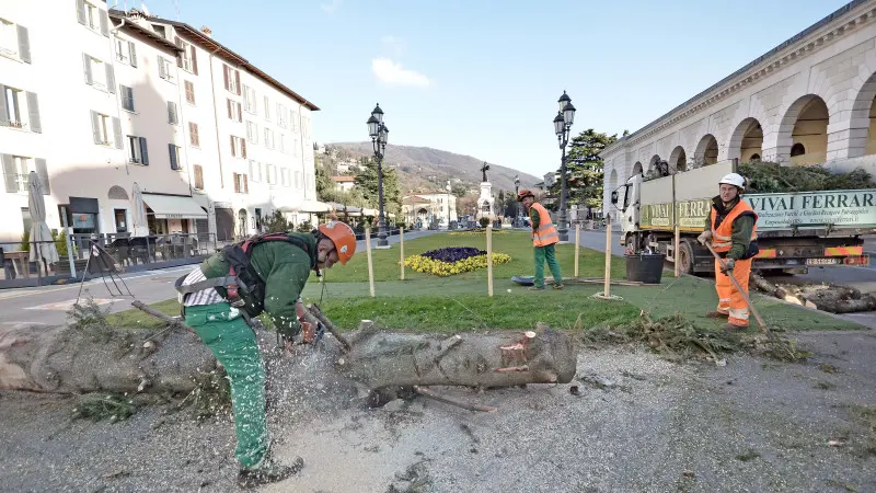 Piazzale Arnaldo, albero di Natale smantellato