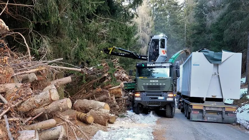 Le potature - Foto di archivio -  © www.giornaledibrescia.it