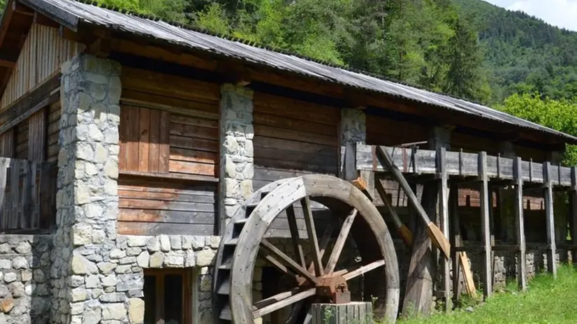Nuova vita. La segheria veneziana verrà ufficialmente inaugurata giovedì // FOTO BONTEMPI