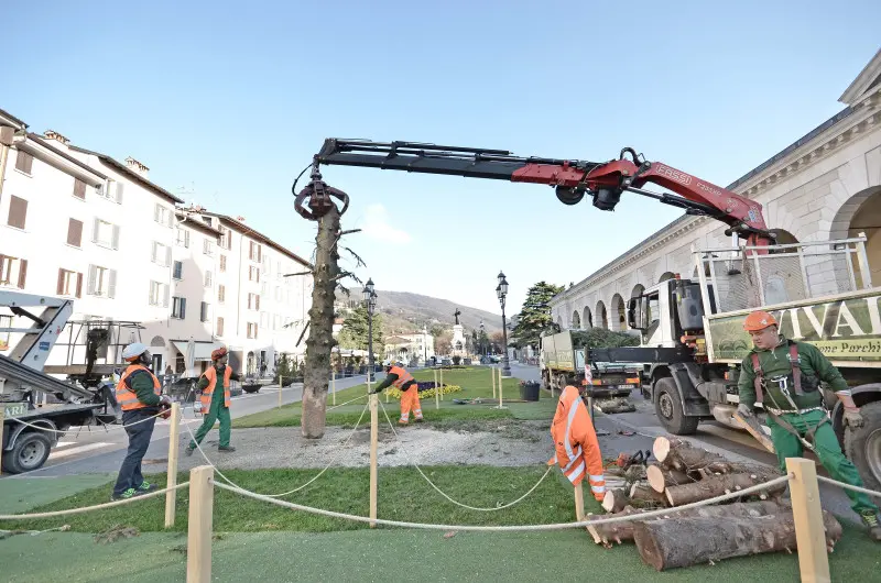 Piazzale Arnaldo, albero di Natale smantellato