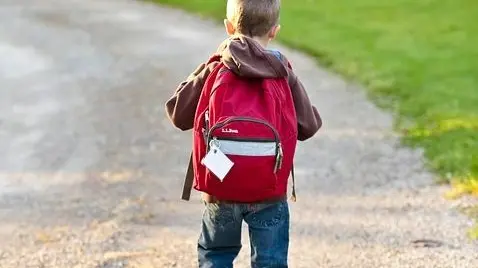 Il bambino era da poco tornato da scuola © www.giornaledibrescia.it