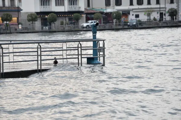 La pioggia gonfia il lago d'Iseo