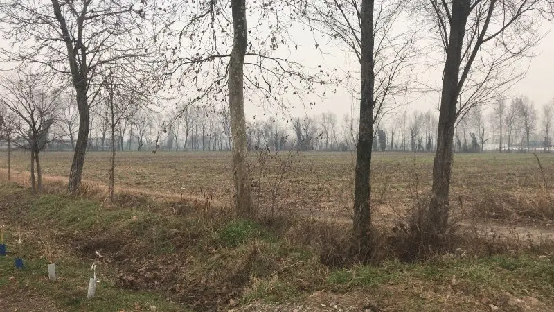 L'area di Torbole Casaglia oggetto della querelle