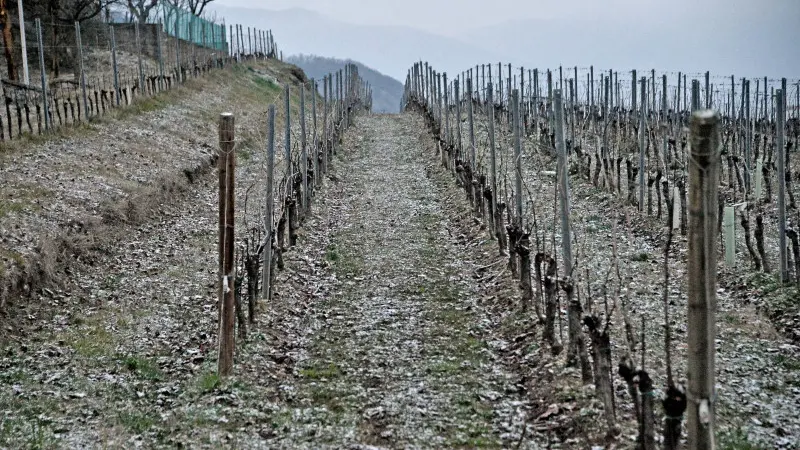 Un filo di neve su campi e auto in Franciacorta