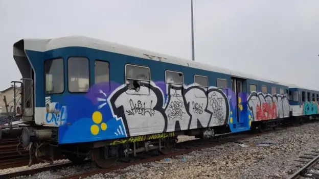 Alcuni dei treni offerti in regalo da Ferrovie Nord