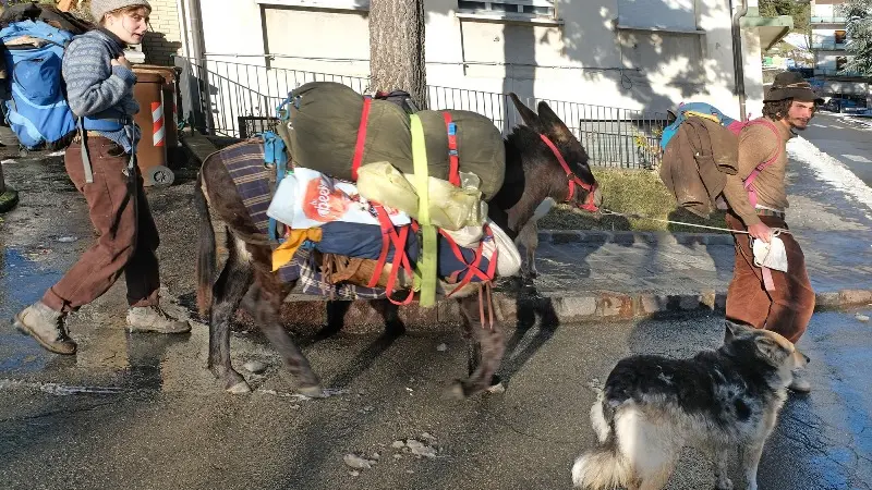 Marta e Mommo in viaggio con i loro animali