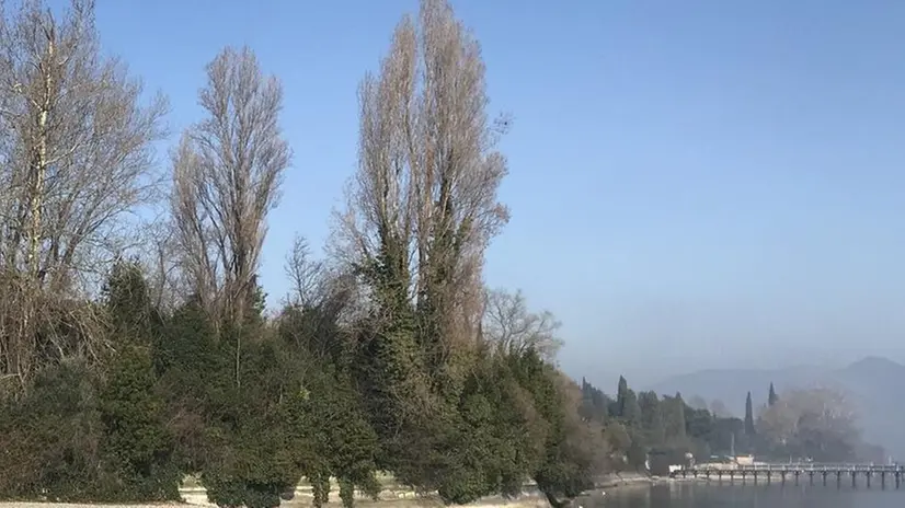 Spiaggia. La zona verso il Vo’