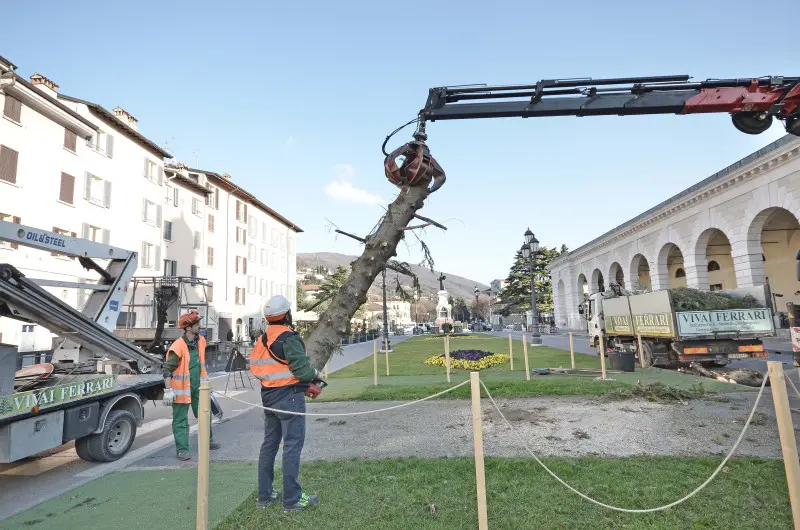 Piazzale Arnaldo, albero di Natale smantellato