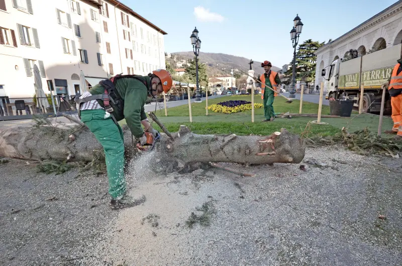 Piazzale Arnaldo, albero di Natale smantellato