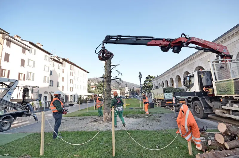 Piazzale Arnaldo, albero di Natale smantellato