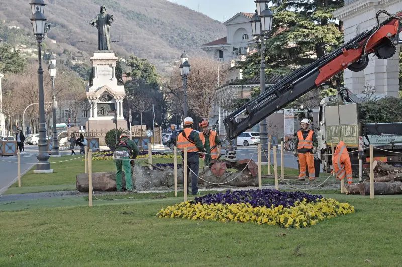 Piazzale Arnaldo, albero di Natale smantellato