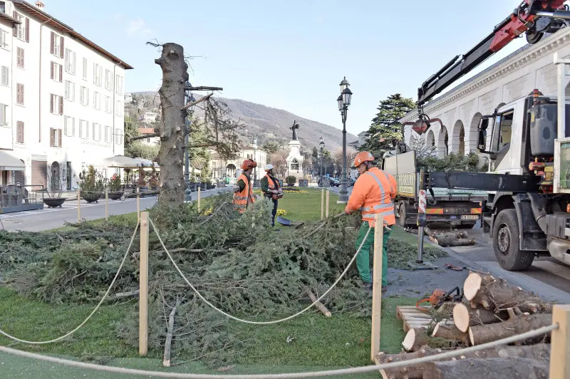 Piazzale Arnaldo, albero di Natale smantellato