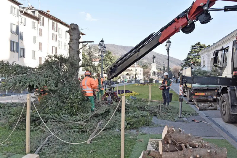 Piazzale Arnaldo, albero di Natale smantellato