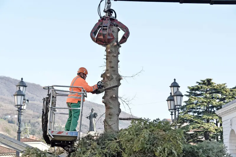 Piazzale Arnaldo, albero di Natale smantellato