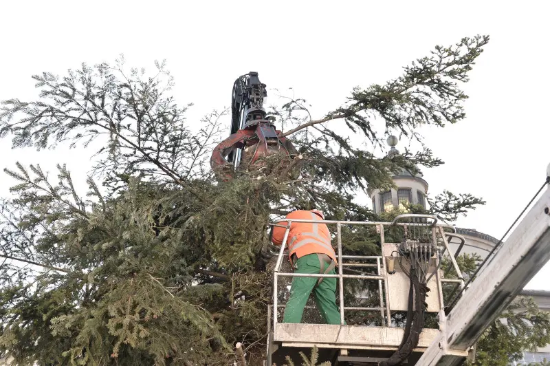 Piazzale Arnaldo, albero di Natale smantellato